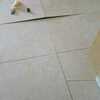 Thumb 380622