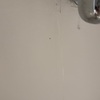 Thumb img 4134