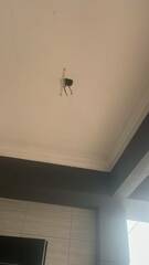 After photo of Electrical and Wiring Services by Salair Nallin Enterprise