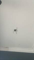 After photo of Electrical and Wiring Services by Salair Nallin Enterprise