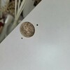 Thumb 1000257811