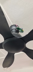 After photo of Ceiling Fan Install and Repair by FIX HOME ENTERPRISE 