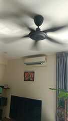 After photo of Ceiling Fan Install and Repair by NZ HOME MAINTENANCE 