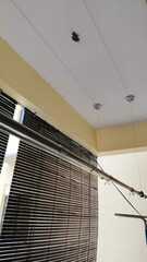 After photo of Handyman Contractor by SIGMA HOME ENTERPRISE 