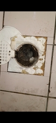 Before photo of Plumber by NZ HOME MAINTENANCE 