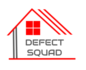 Defect Squad Enterprise