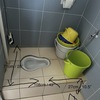 Thumb img 9679
