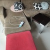 Thumb img 8736