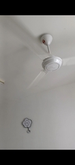 After photo of Ceiling Fan Install and Repair by NZ HOME MAINTENANCE 