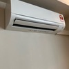Thumb img 7451