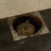 Thumb img 0868