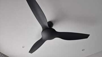 Before photo of Ceiling Fan Install and Repair by NZ HOME MAINTENANCE 