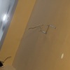 Thumb image