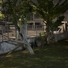 Thumb image