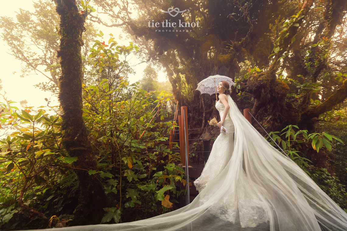 PreWedding at Cameron Highland