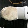 Thumb img 20170205 123635