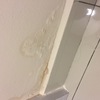 Thumb img 7412
