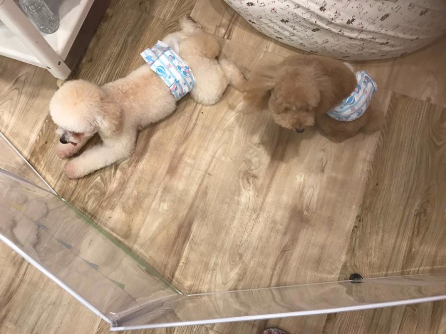 Waiting area at lobby