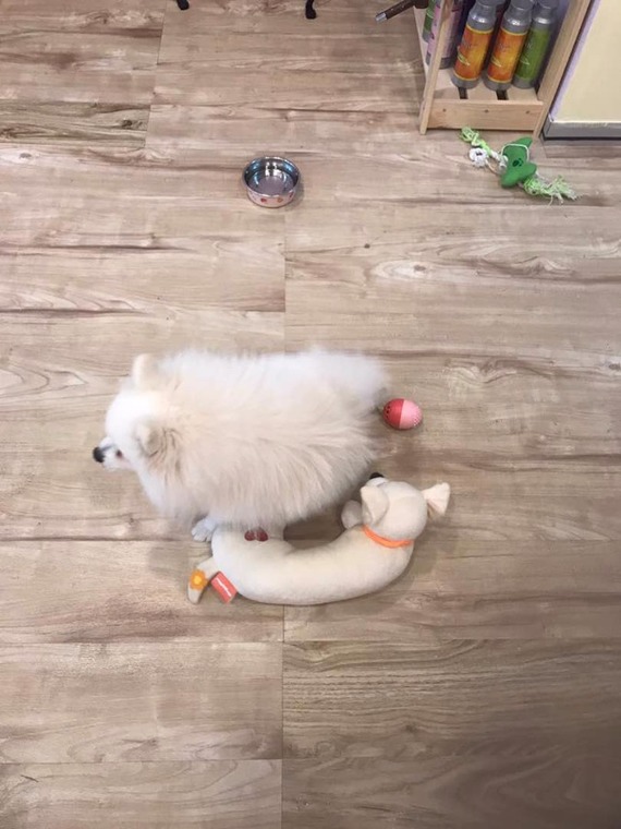 Daycare at lobby