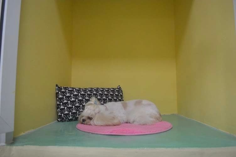 Cutie room