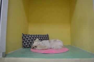 Cutie room