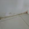 Thumb e65297ab 5ced 4b20 b7f4 517478be2c2e