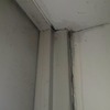 Thumb cbd430a2 a41e 4d59 b955 3a629bf1b8c8