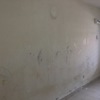 Thumb img 1700