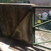 Thumb img 1681