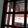 Thumb img 20180726 095240