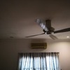 Thumb img 20181103 133307