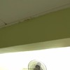 Thumb img 20190722 wa0036
