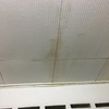 Thumb img 20191029 wa0000