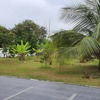 Thumb whatsapp image 2019 12 24 at 10.37.32 am 2 