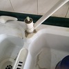 Thumb img 20200419 155431
