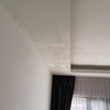 Thumb master bedroom ceiling