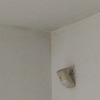 Thumb img 20200601 wa0004