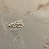 Thumb img 5930