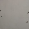 Thumb img 20200926 154921