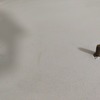 Thumb img 20200926 154929