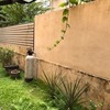 Thumb img 3272