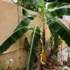 Thumb img 3273  1 