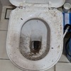 Thumb img 20201108 wa0065