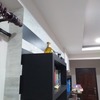 Thumb 16050922616834716891603443857767