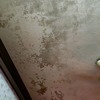 Thumb img20201118191242