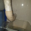 Thumb kitchen sink leak