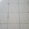 Thumb 20201003 061300