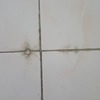 Thumb 20201003 061307