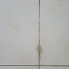 Thumb 20201003 061311