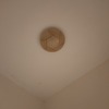 Thumb 16083730385481368118449773830685